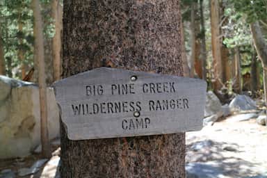 a sign on a tree